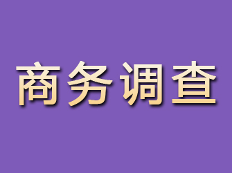 赫山商务调查